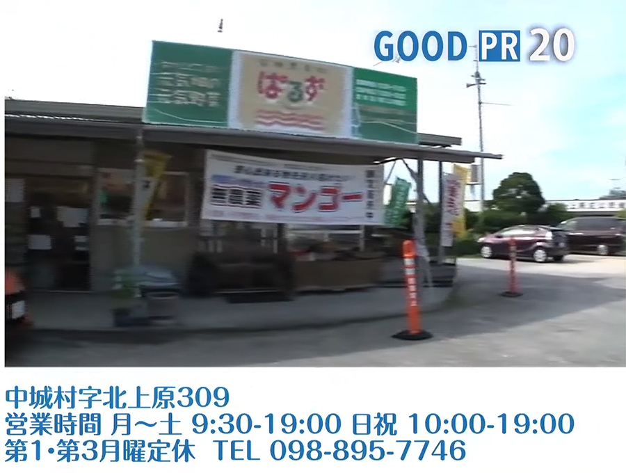 中城村字北上原309　営業時間 金〜土 9:30〜19:00／日祝 10:00〜19:00　第1・第3月曜定休　TEL 098-895-7746