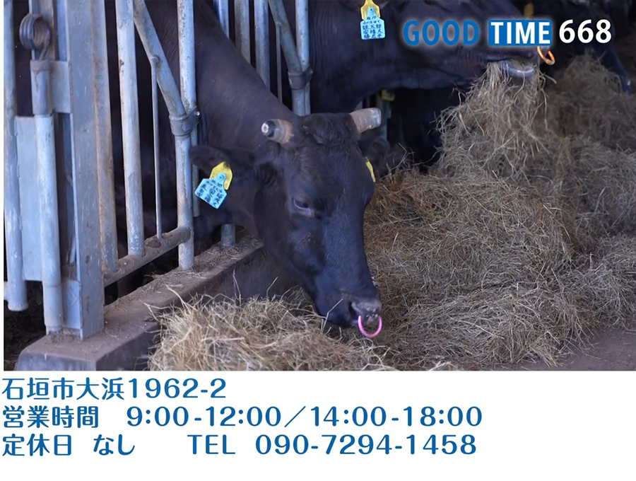 石垣市大浜1962-2　営業時間 9:00〜12:00/14:00〜18:00 無定休　TEL 090-7294-1458
