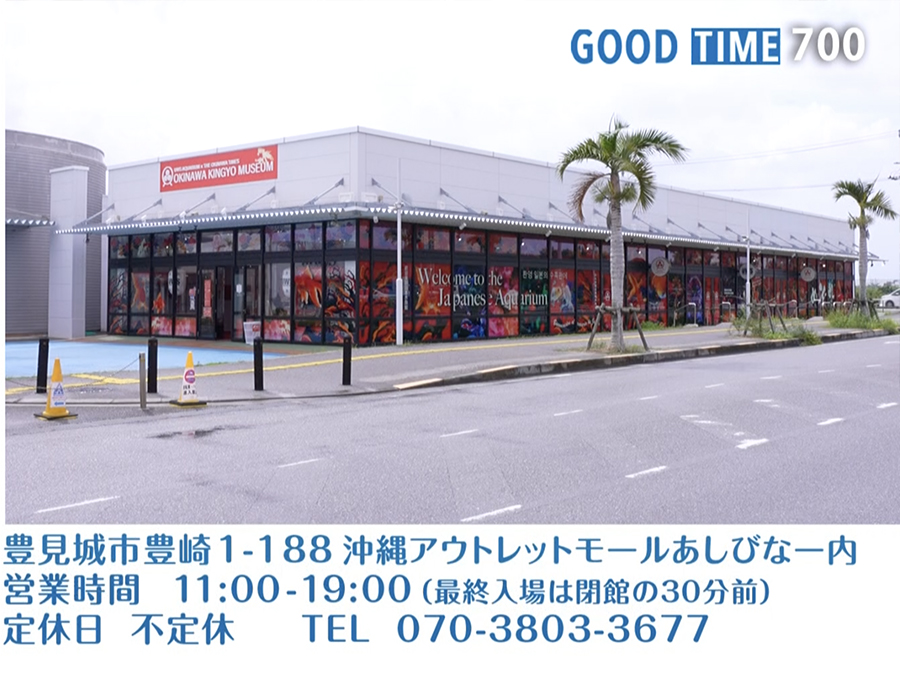 　営業時間 :00〜:00 定休　TEL --