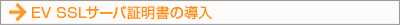 EV�SSLT[o[ؖ̓